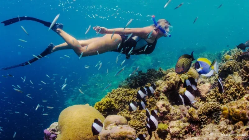 Plavanje s tokom: mesta za snorkljanje na Tenerife