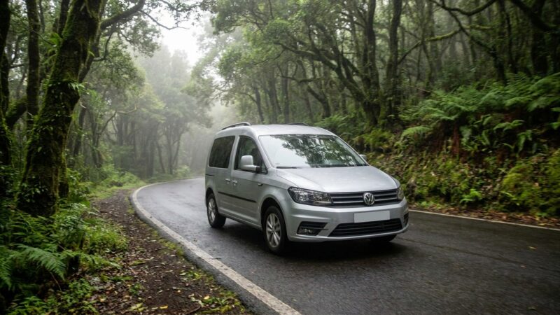 Volkswagen Caddy na Tenerife: ali je pravi za vas